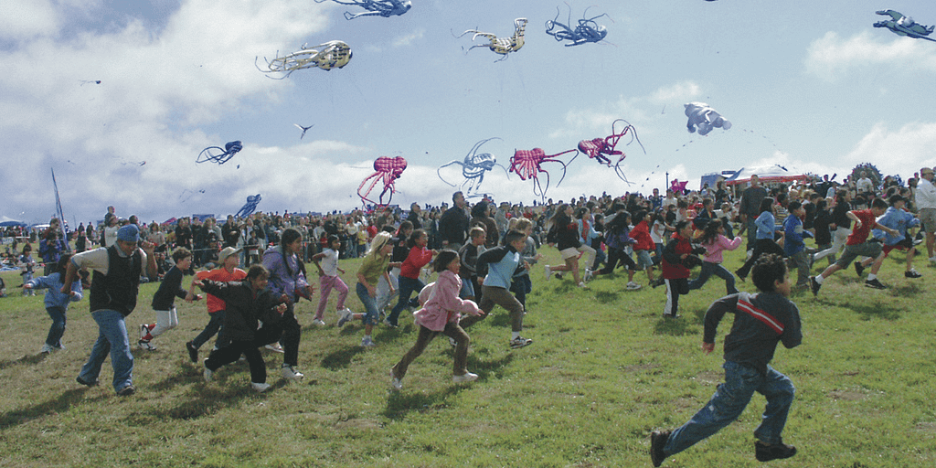 do_east bay_berkeley kite festival_feature image_800x400