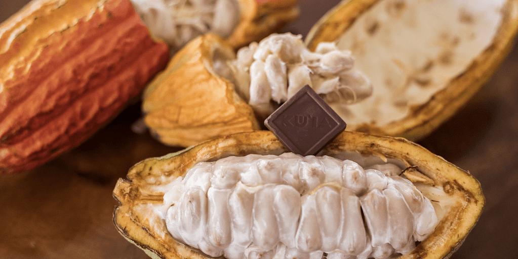 Maui Chocolate-Shop-Made in Maui-credit Hawaiian Airlines-feature-800x400