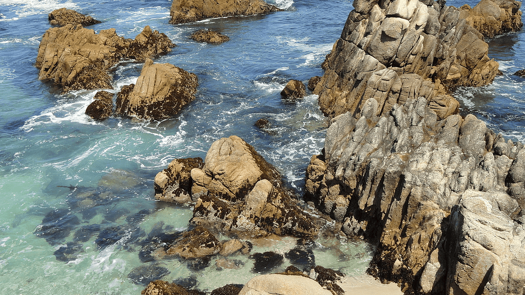 Best-scuba-Monterey Peninsula-lovers-point-pacific-grove-800x450