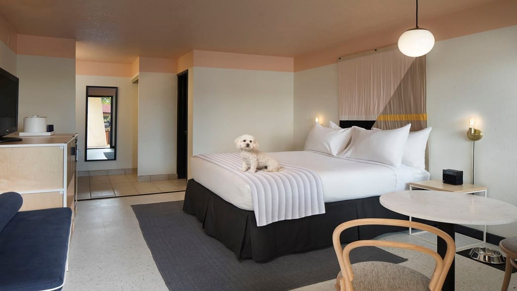 The Sandman Hotel-Sonoma-Value-800x450-credit The Sandman Hotel