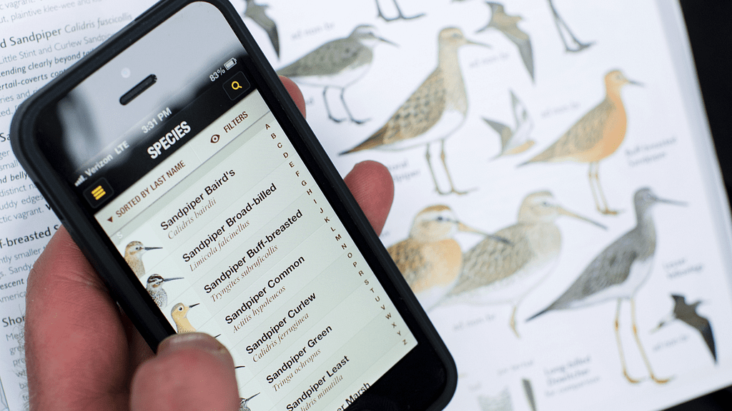 birding-apps-800x450