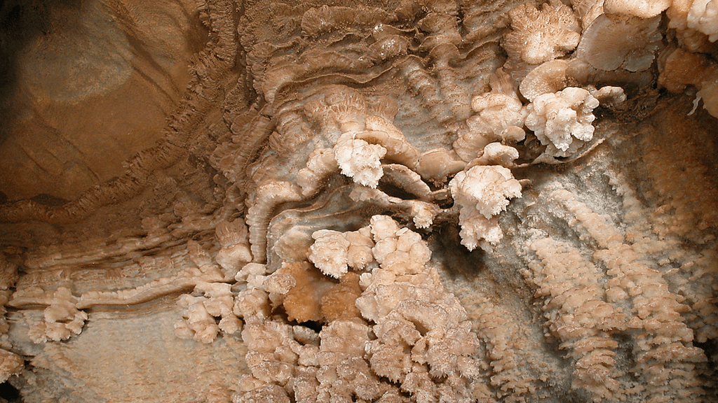gold country_black chasm cavern shelfstone_800x450_Shelfstone_Dave Bunnell : Under Earth Images