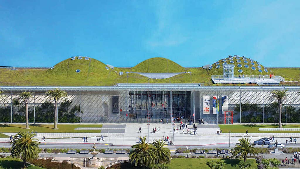 california academy of sciences_coolest kid friendly musuems_feature image_800x400_CAS