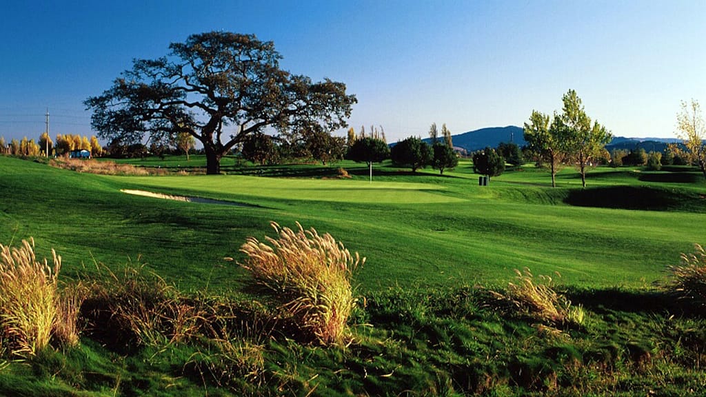 rooster run_bay area golf courses_800x450