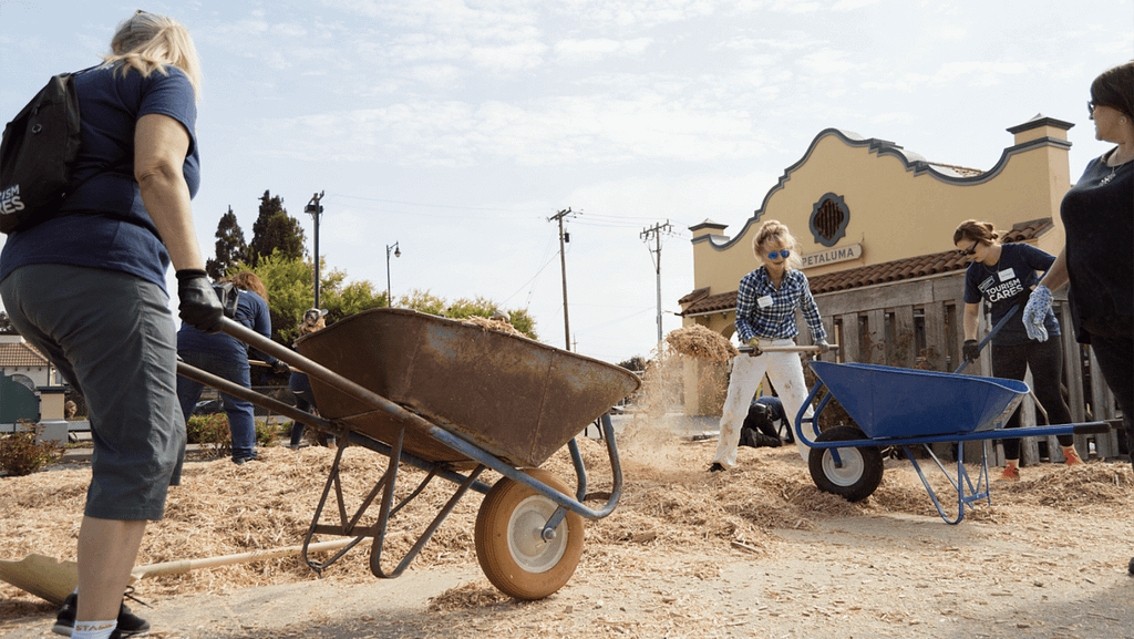 Sonoma Cares, California, Volunteer