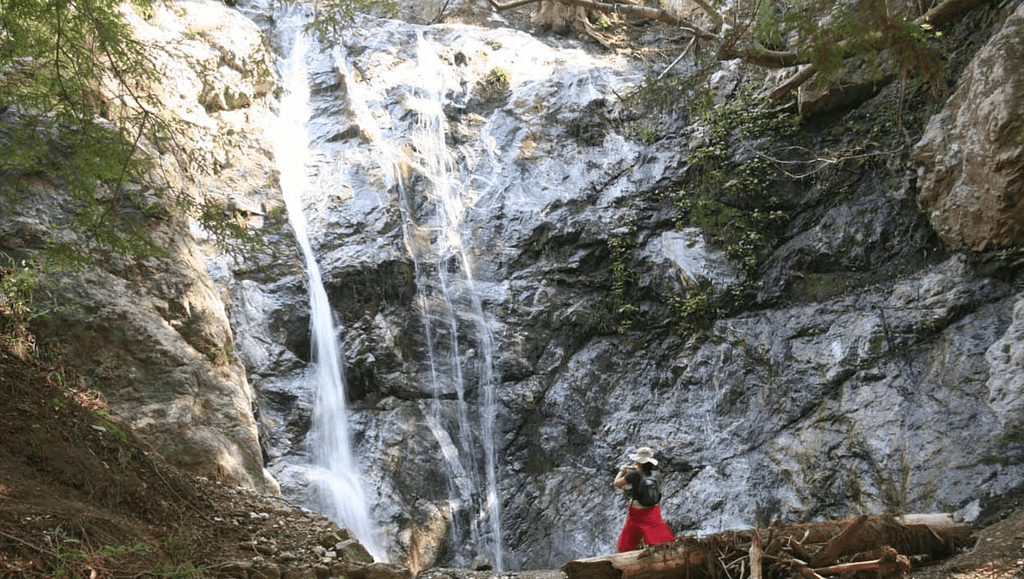 do_big sur_Pfeiffer falls​_800x450