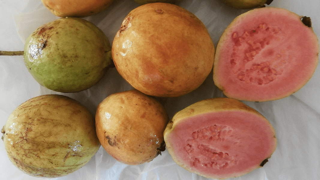 guava_maui sweet treats_800x450_Sarang