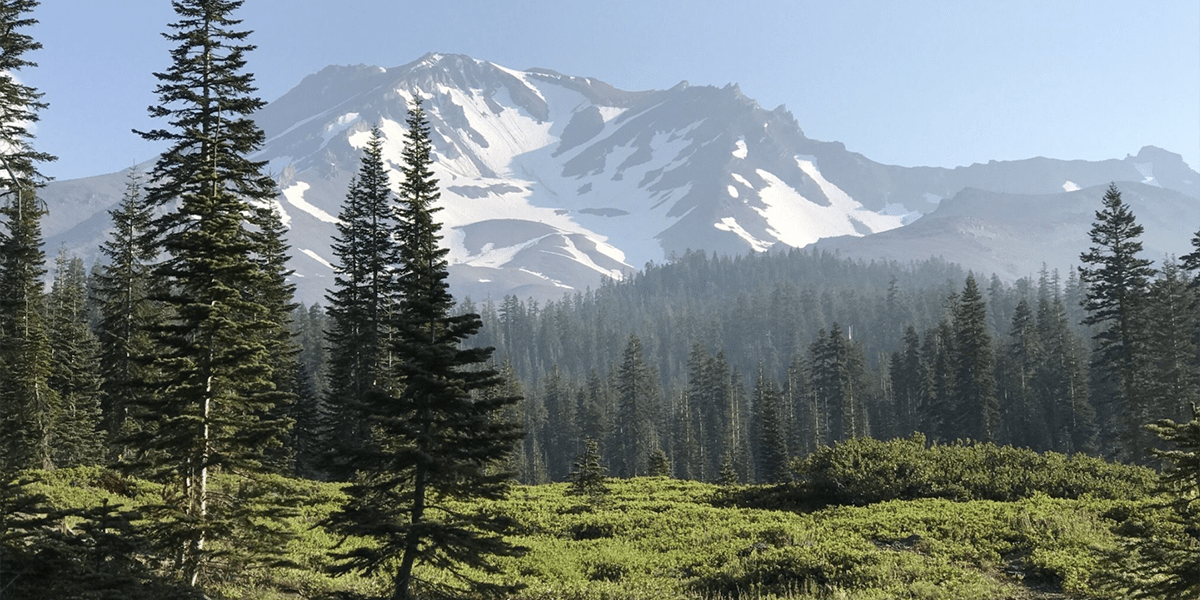 California-hiking-Mount-Shasta-alltrails-Hyung Park-1200