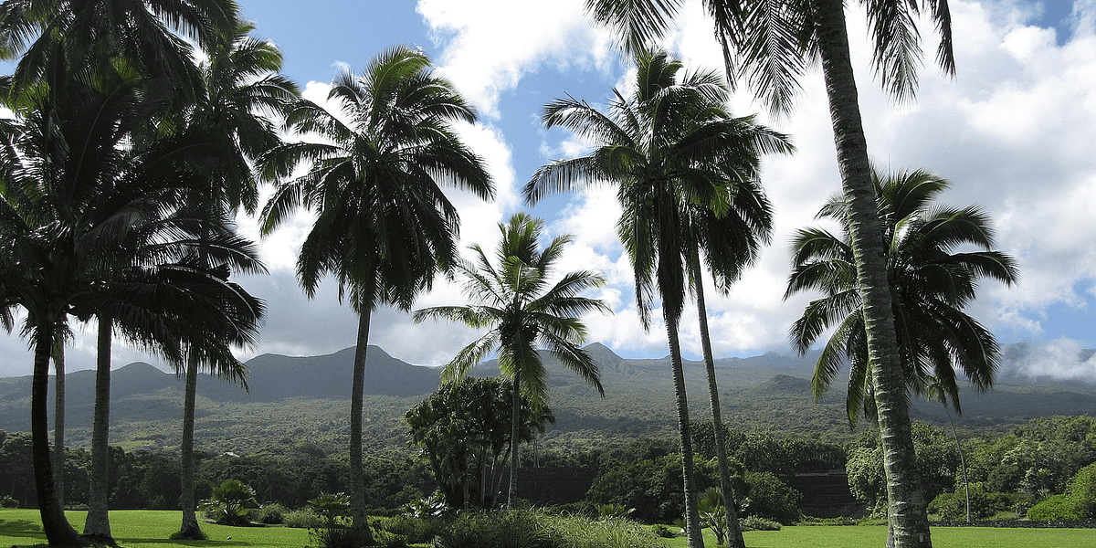 Kahanu gardens_maui_feature image_800x400_Forest and Kim Starr
