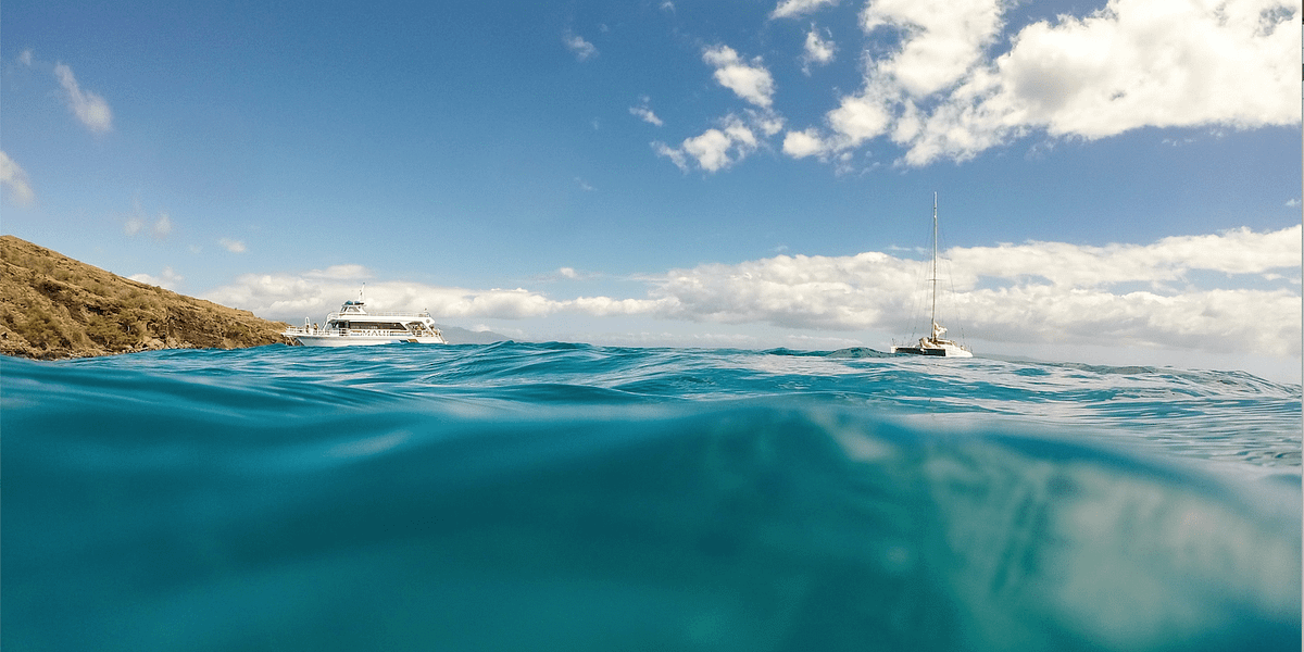 best-scuba-diving-maui-feature-image-800x400-matt-flores