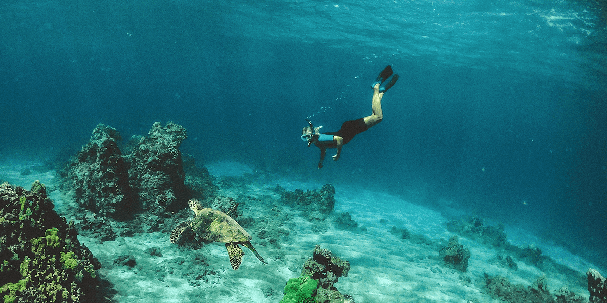 best-snorkeling-maui-feature-image-800x400-subtle-cinematics