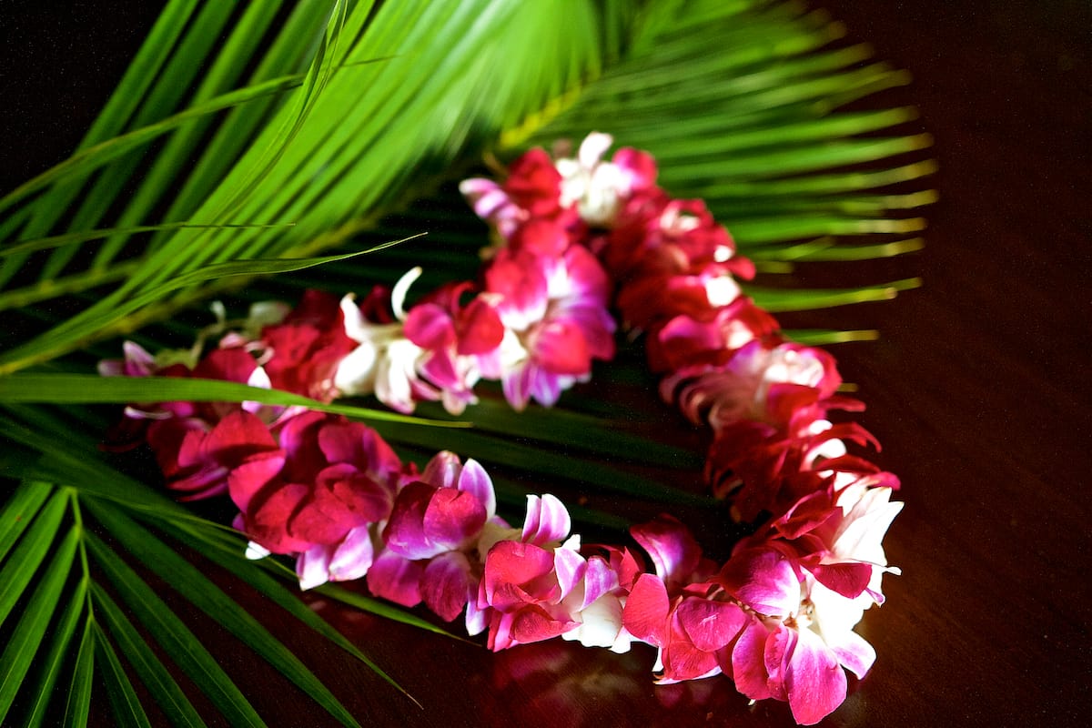 Hawaii Valentines Day, Shop, Local Hawaii Gifts