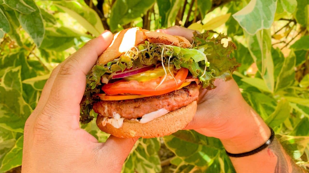Down to Earth Organic & Natural Gluten-Free burger Oahu
