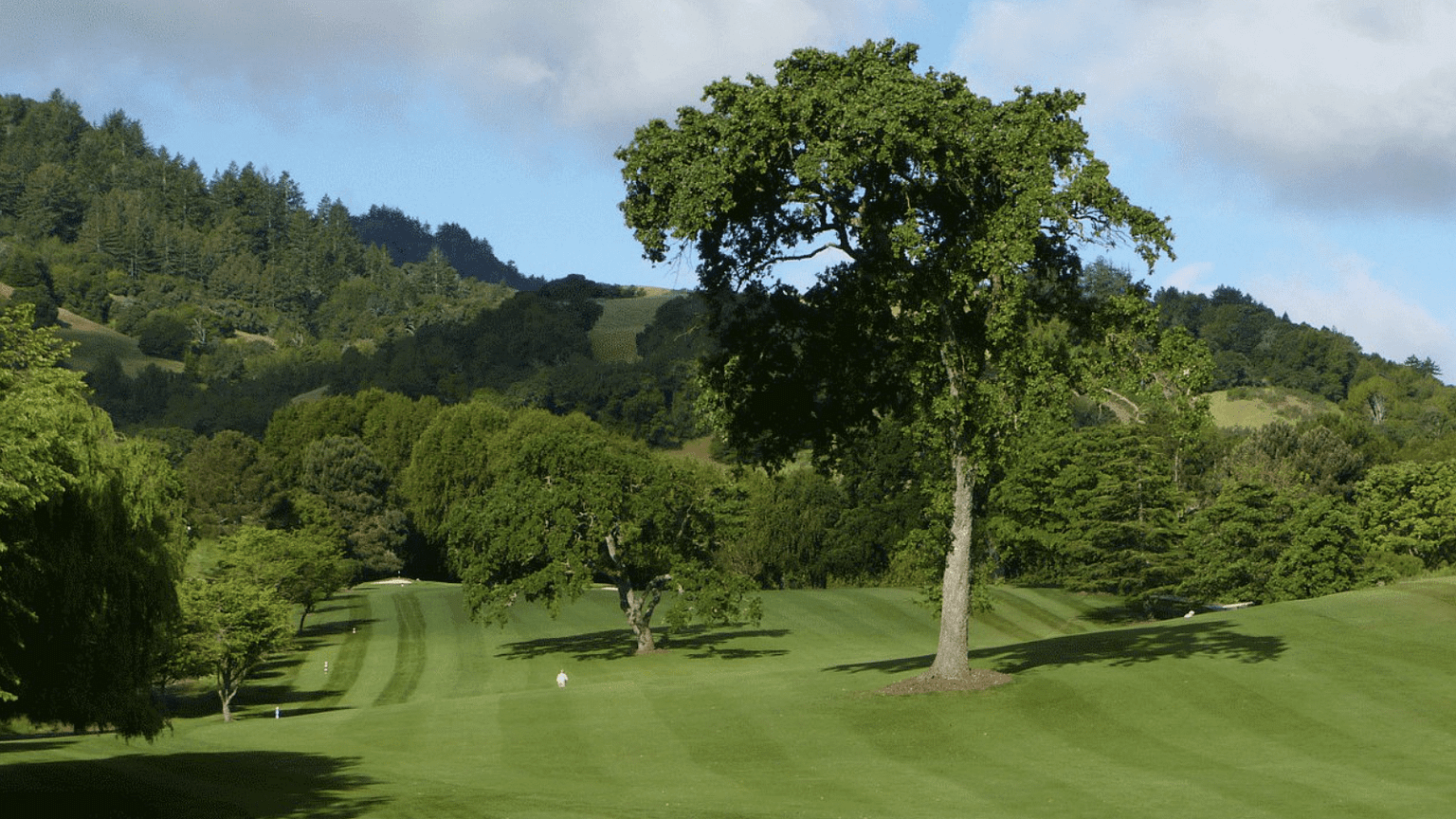 The Best Golf Courses in the North Bay Local Getaways California The Best Golf Courses in the North Bay Local Getaways California