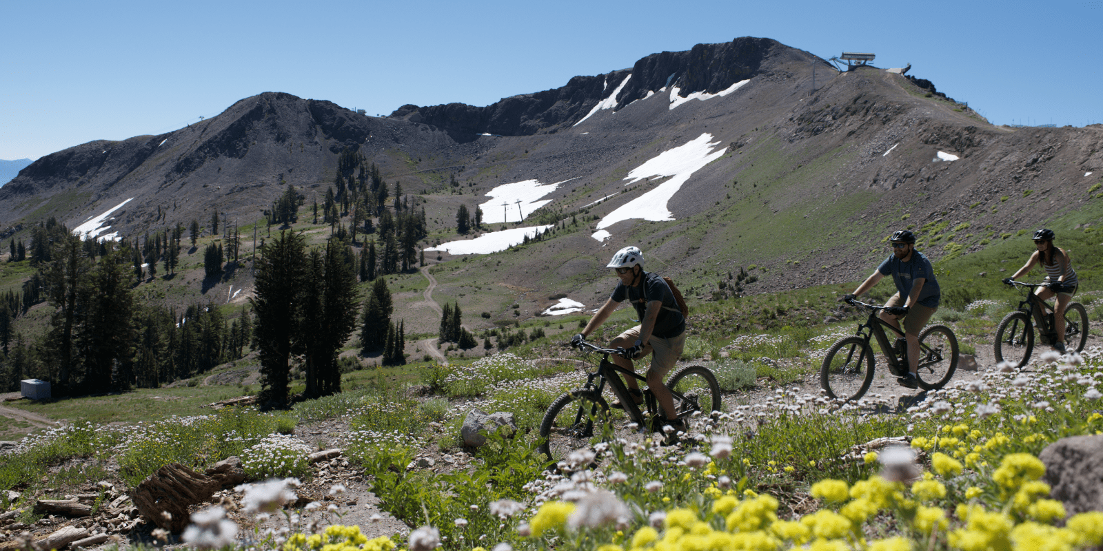 tahoe-biking-feature-image-800x400-squaw-valley-alpine-meadows