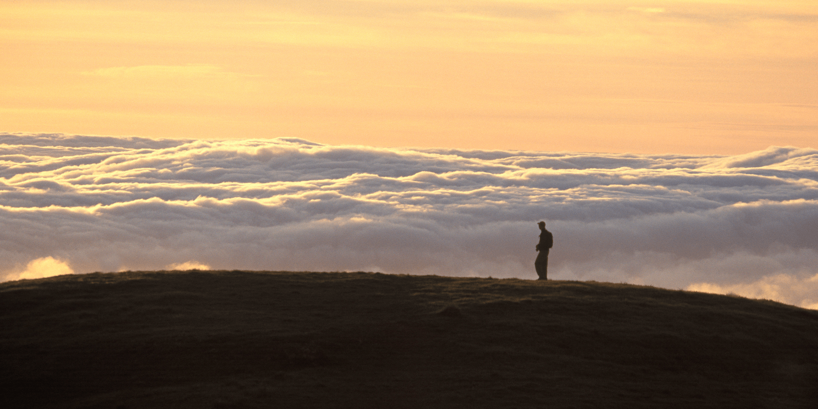 bolinas ridge_do_hikes_above the clouds_feature image_800x400_ben davidson