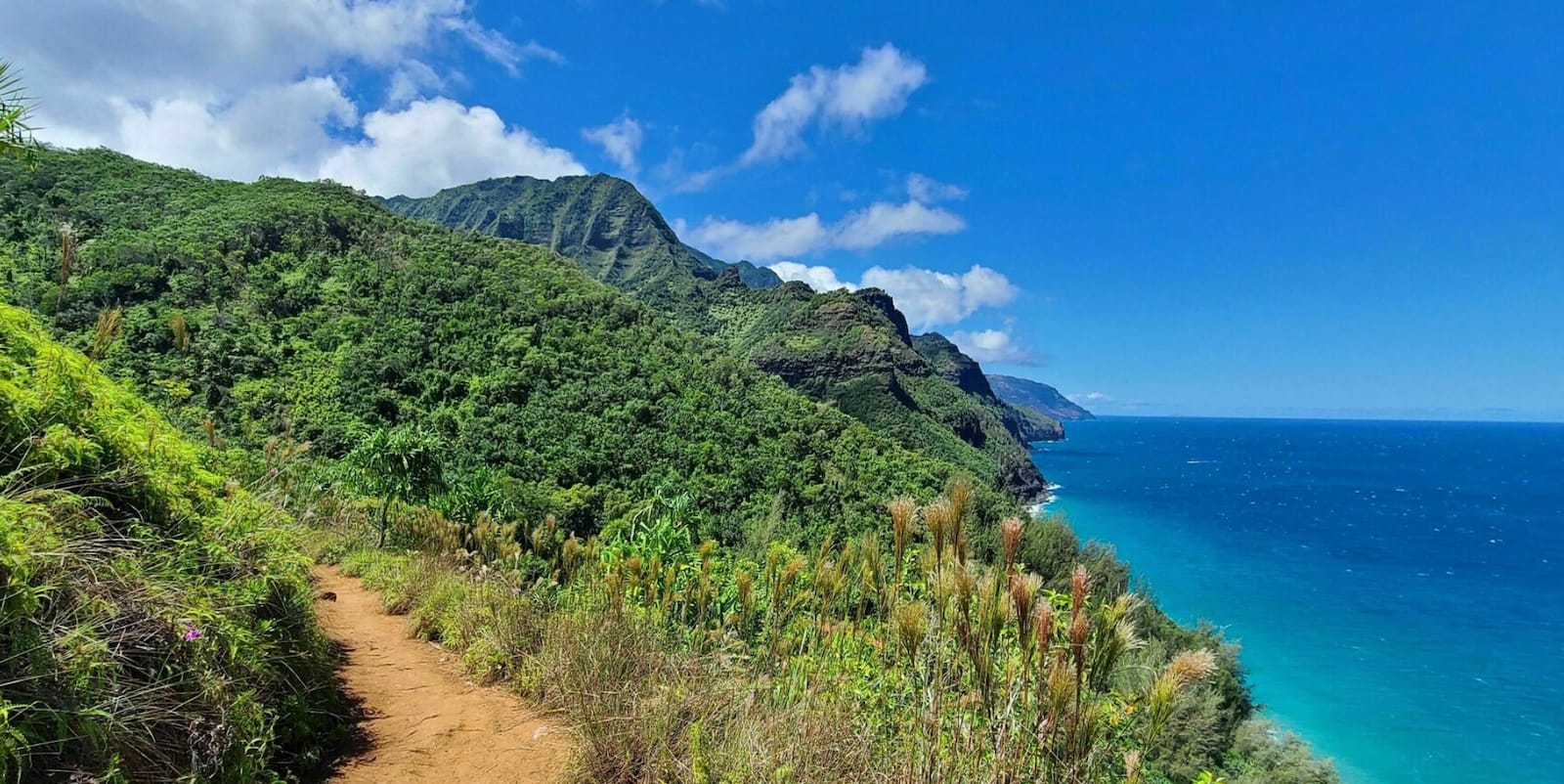 Hanauma Bay Lookout-Oahu-Hikes-credit Joshua Michael:AllTrails-feature-800x400