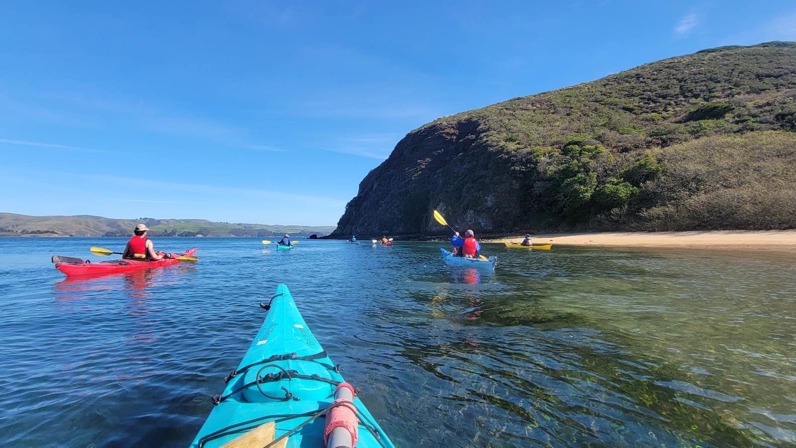 blue waters kayaking_sf bay area family friendly outdoors_800x450