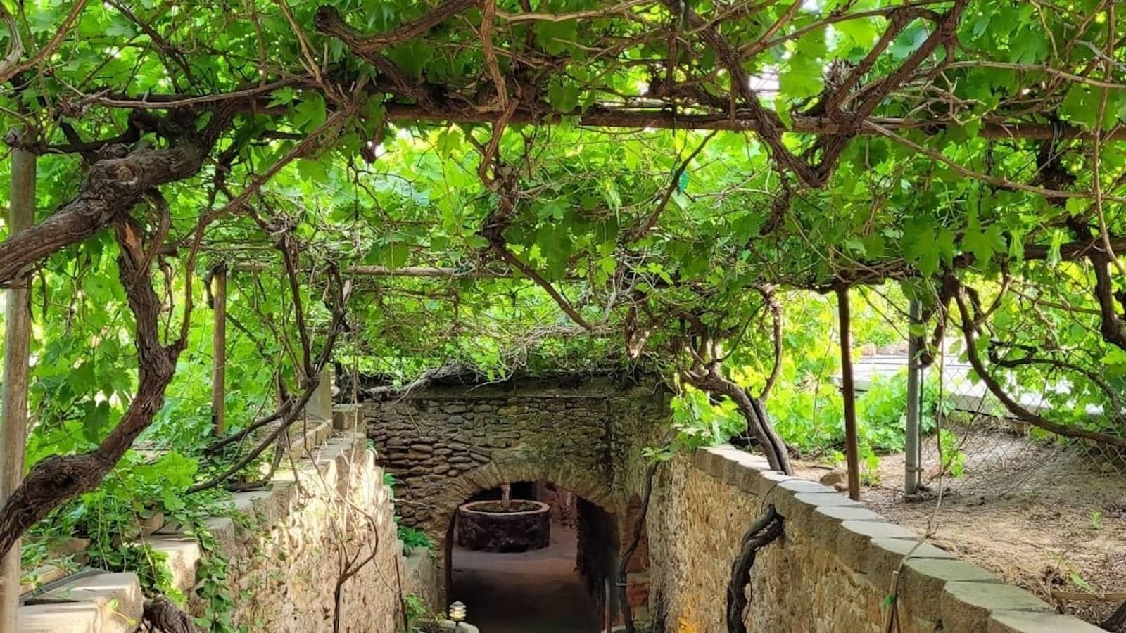 forestiere underground gardens_doug mcconnell interview_800x450