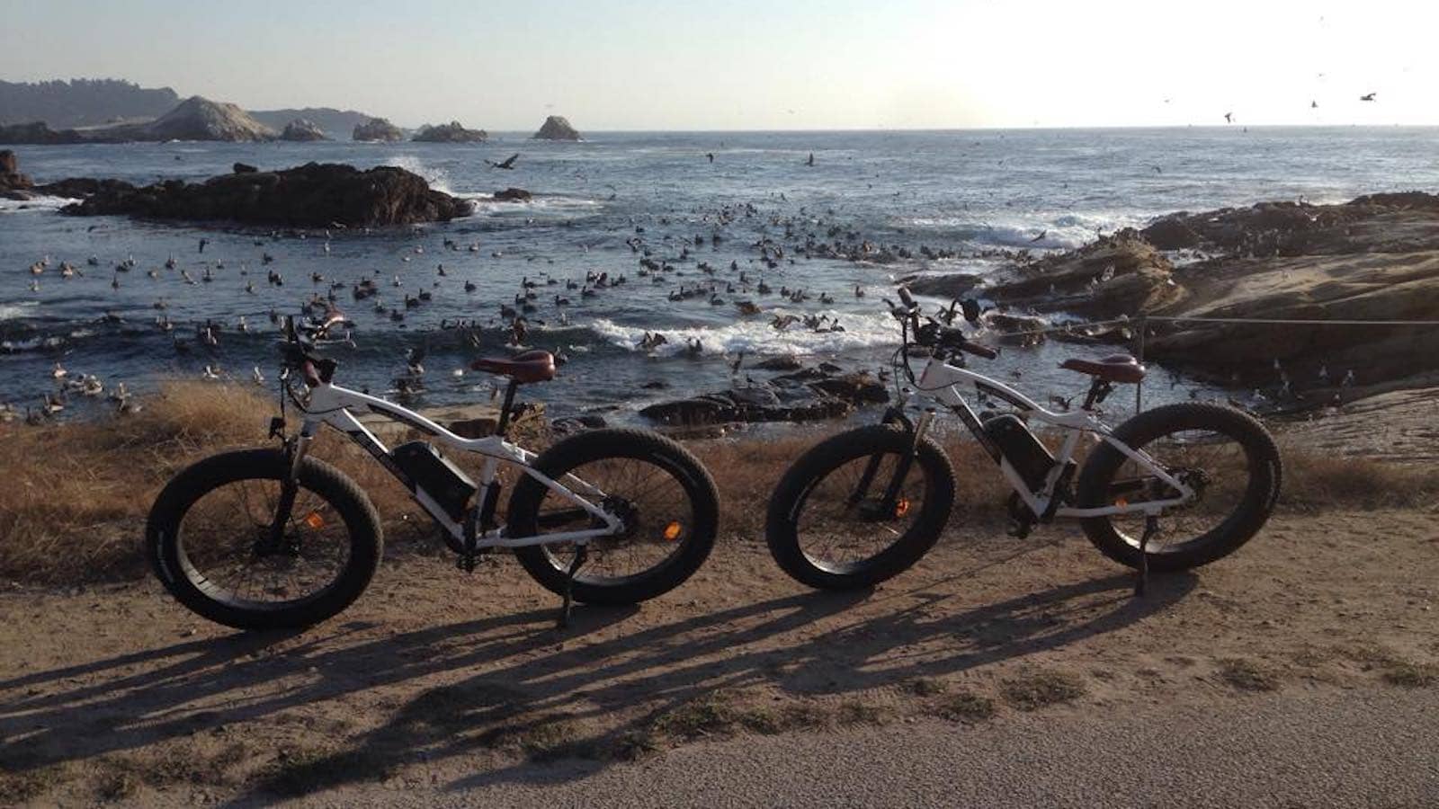 Big Sur Adventures-Monterey-Outdoor Activities-credit @bigsuradventures-1600x900