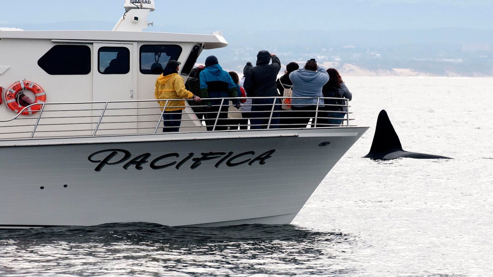Discovery Whale Watch-Monterey Bay-Whale Watching-credit @DiscoveryWhaleWatch-1600x900