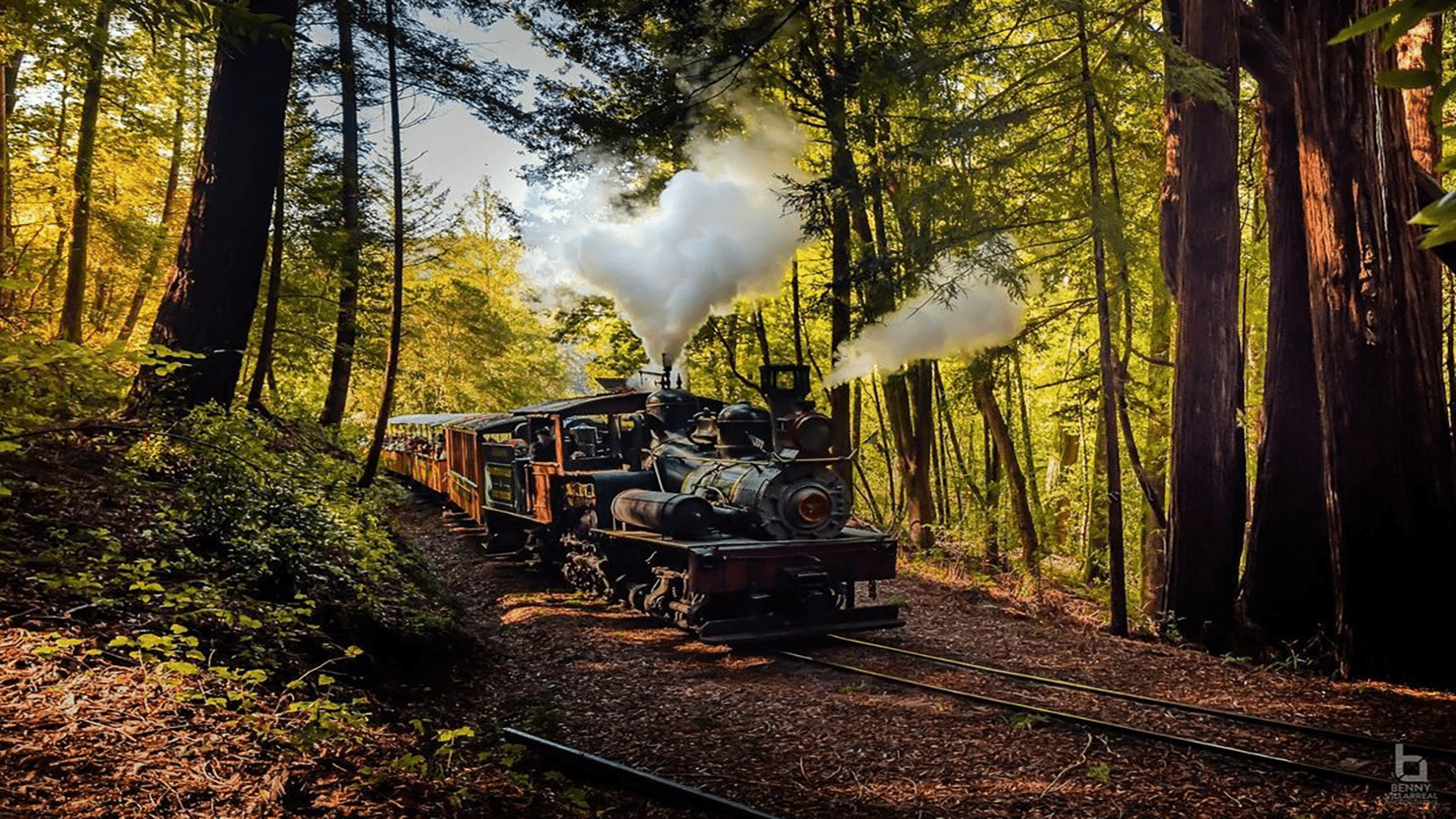 Forest steam train_santa cruz summer_800x450_Credit Roaring Camp Railroads