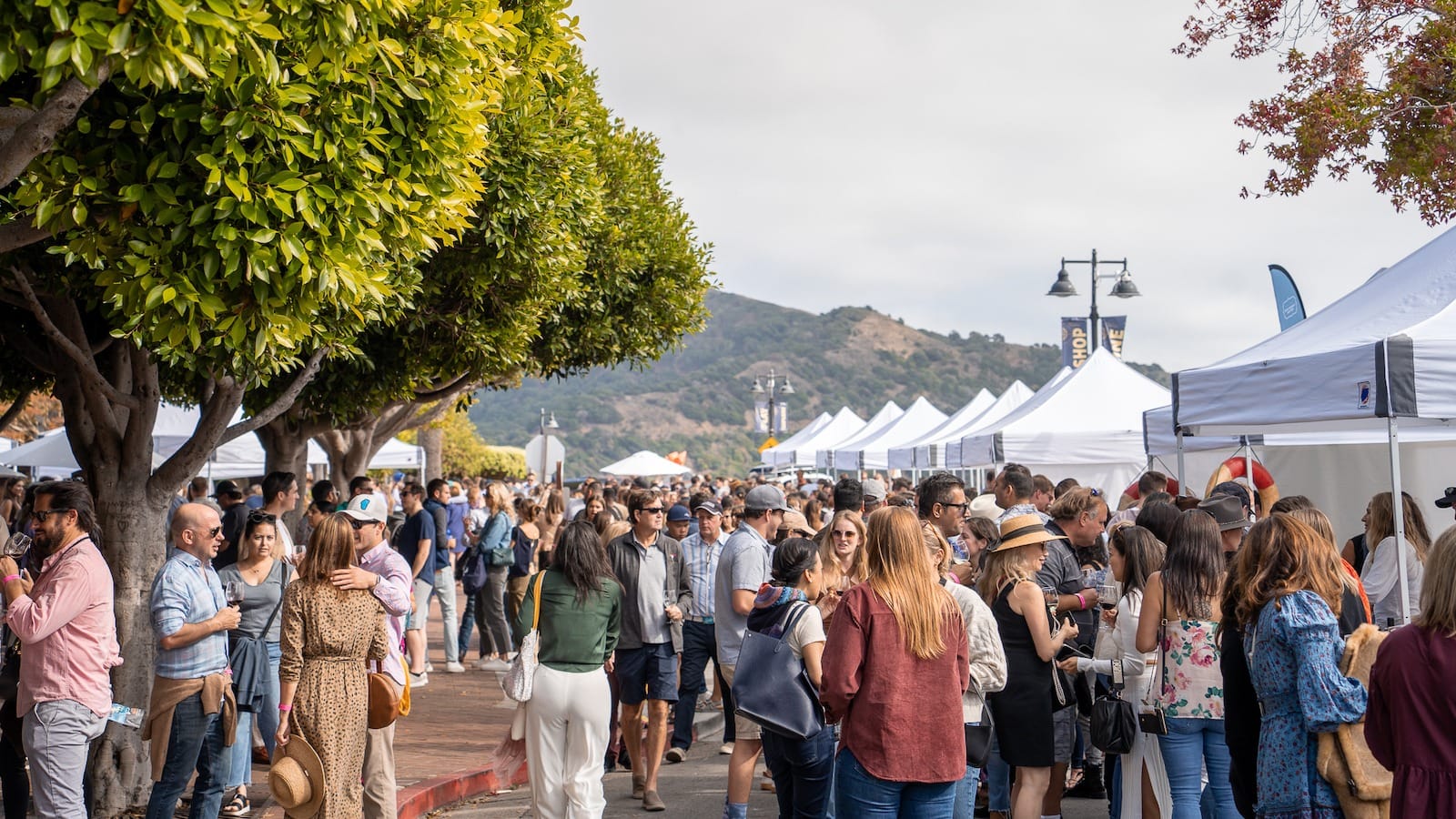 The Renaissance of Tiburon Local Getaways California