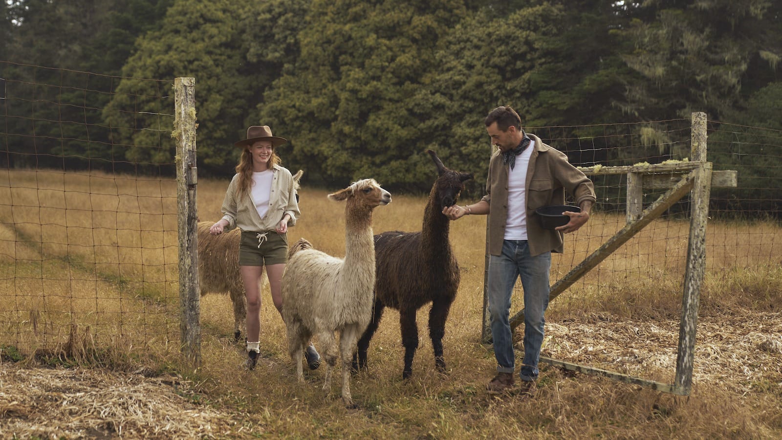 Mendocino_Llamas_1600x900