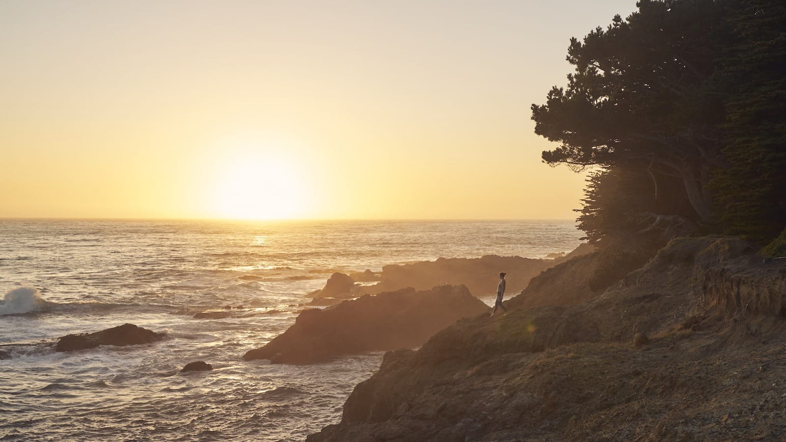 SCP Mendocino