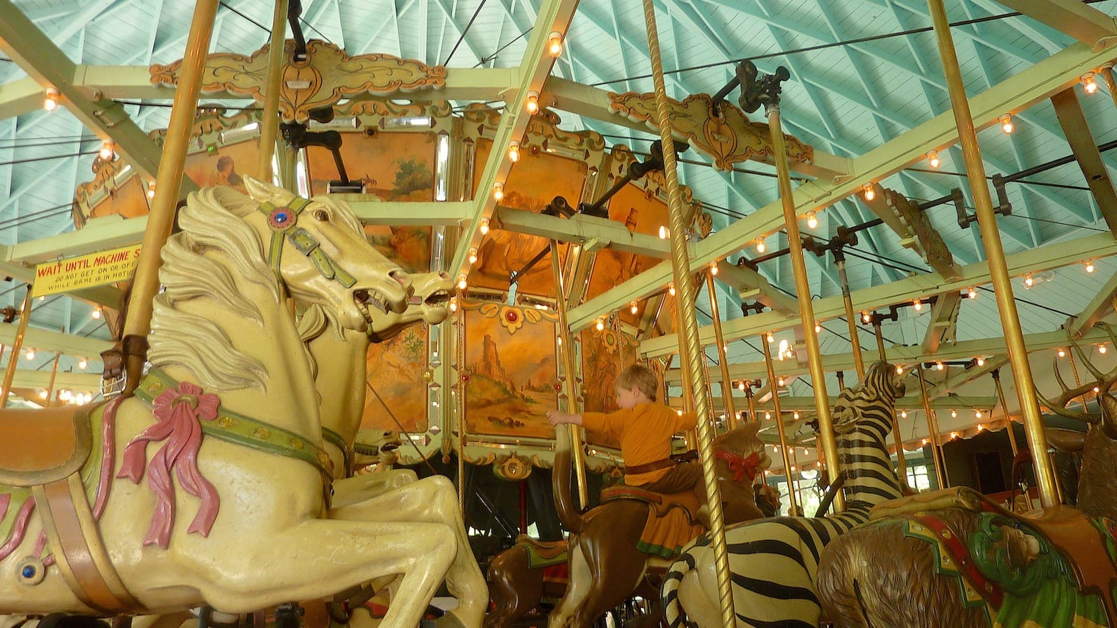 Tilden Merry-Go-Round