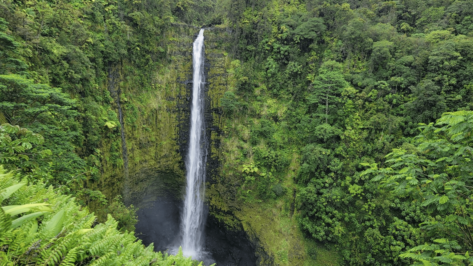 akaka falls trail_big island_hike_800x450_christa huggins