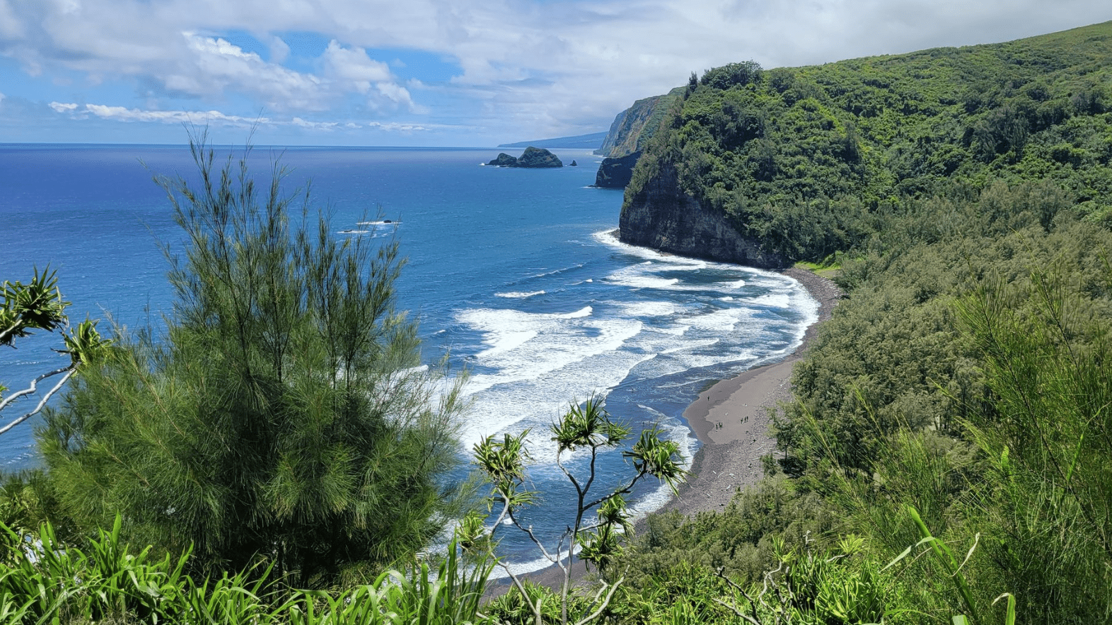 awini trail_big island_hike_800x450_kaelyn leake