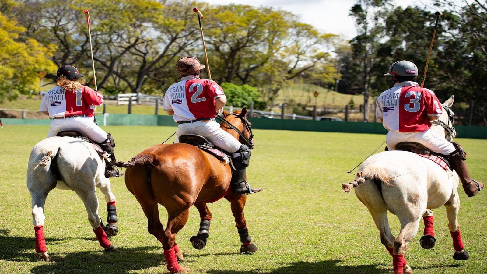 maui polo_places to visit_800x450