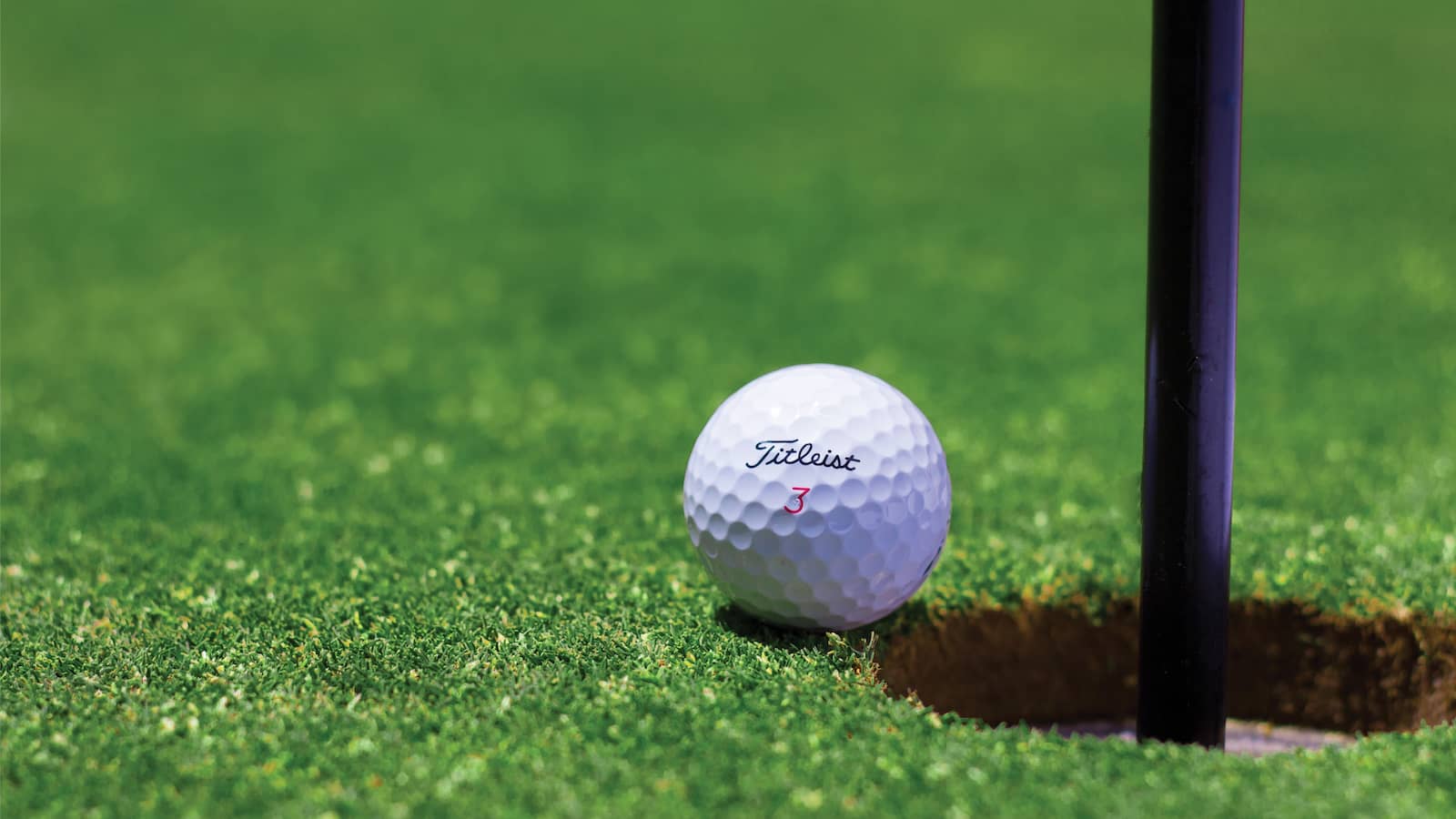 AT&T Pebble Beach_monterey peninsula_800x450_Steven Shircliff