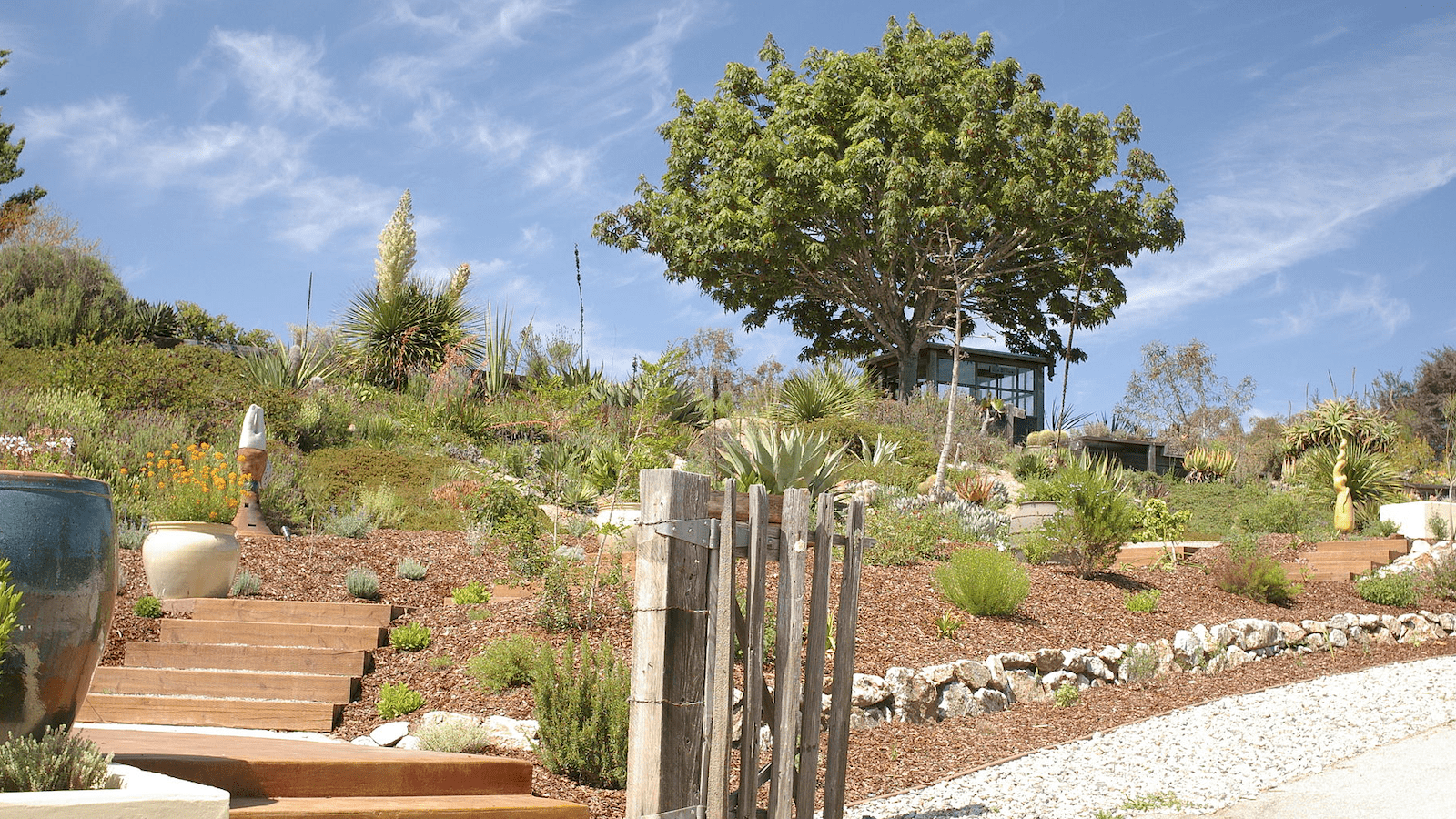 do_South Bay_ucsc arboretum_800x450_mike fernwood
