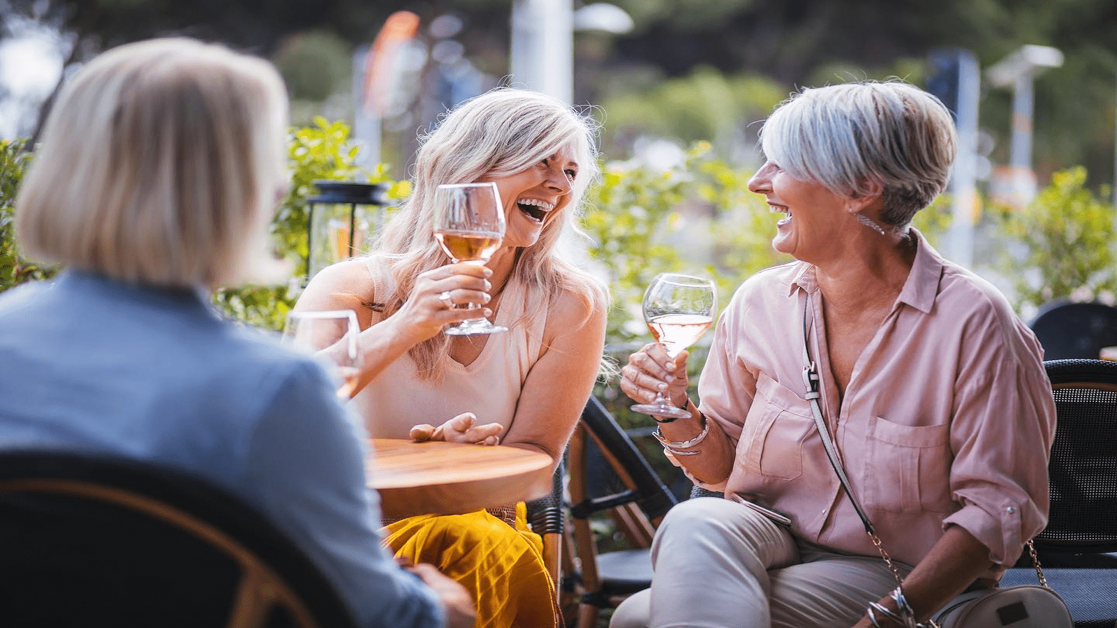 Gourmet Food and Wine Tours-North Bay San Francisco-Best Activities-credit @gourmetfoodandwinetours-1600x900