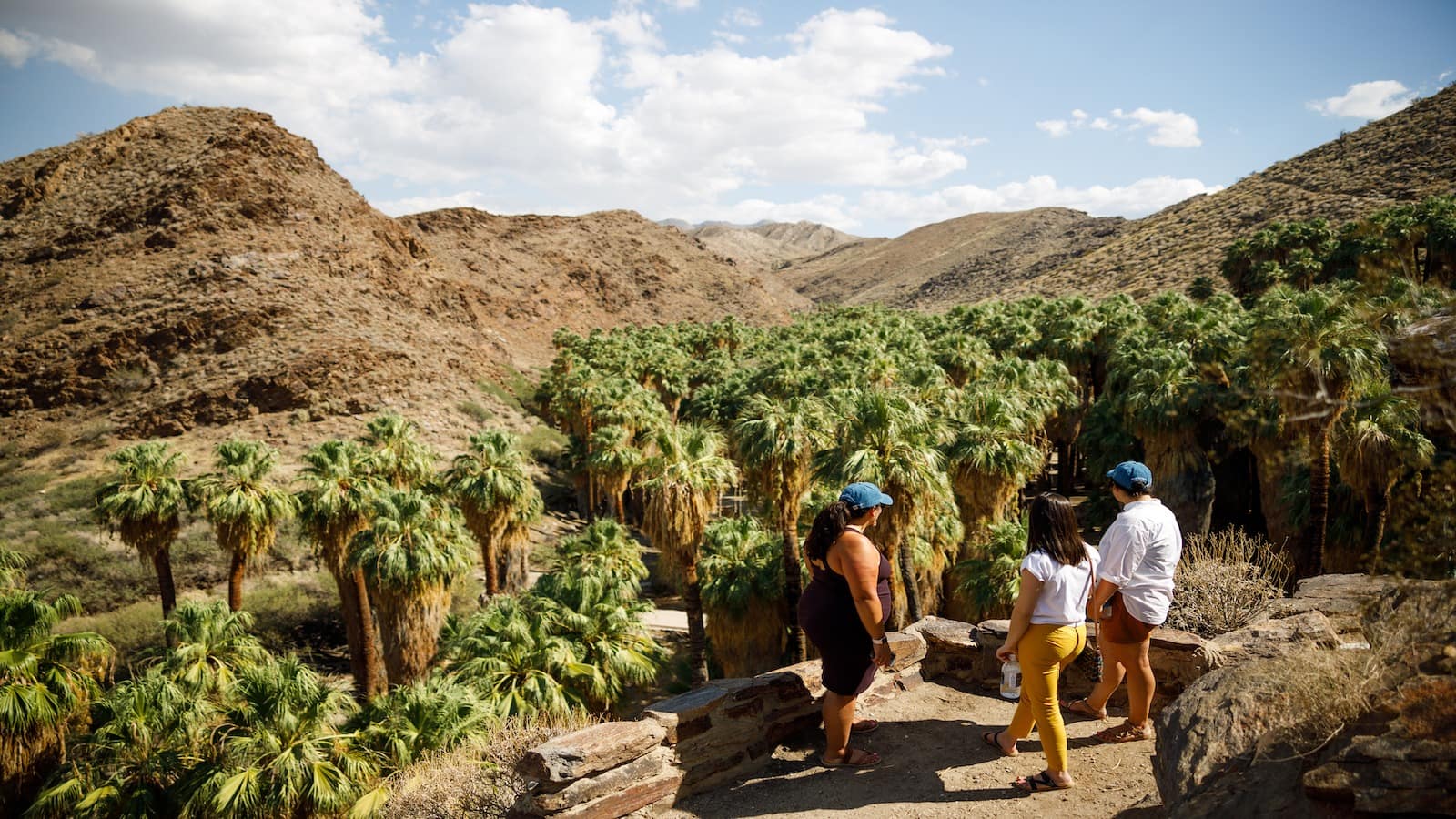 do_cali_Andreas Canyon at Agua Caliente near Palm Springs_800x450_ (photo, Max Whittaker)