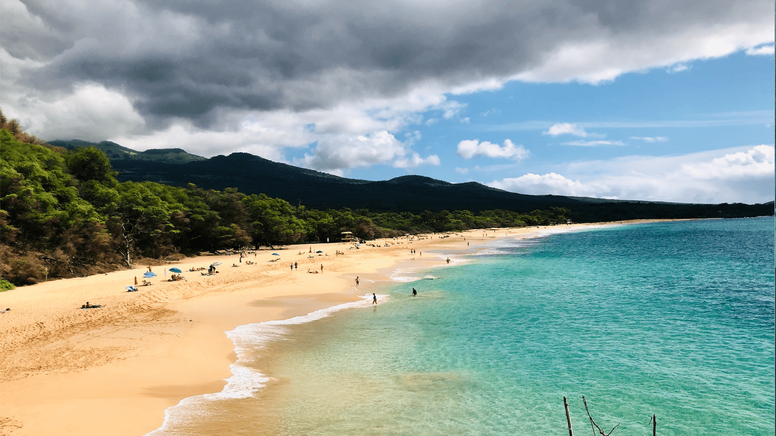 best-snorkeling-maui-makena-state-park-800x450-joanna-kozik