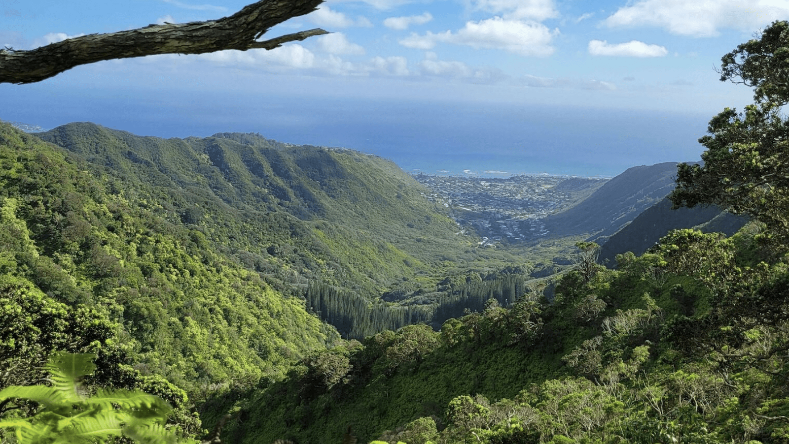 Wiliwilinui Ridge Trail-Oahu-Hikes-credit Alexa Ortiz:AllTrails-800x450