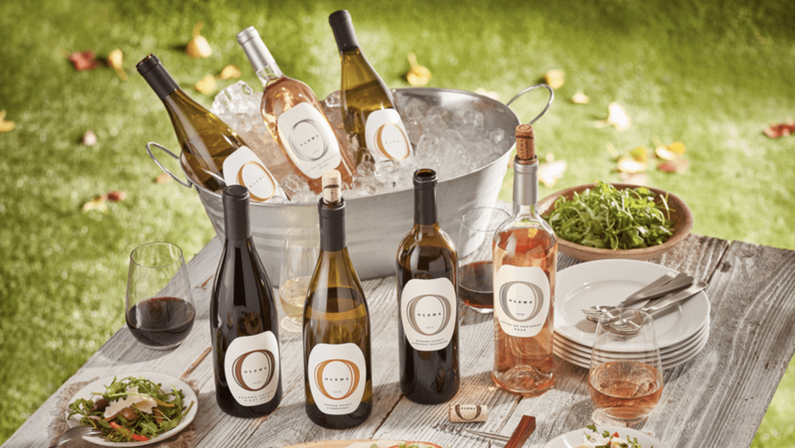 Olema Wines-Shop-Holiday Gift Guide-800x450