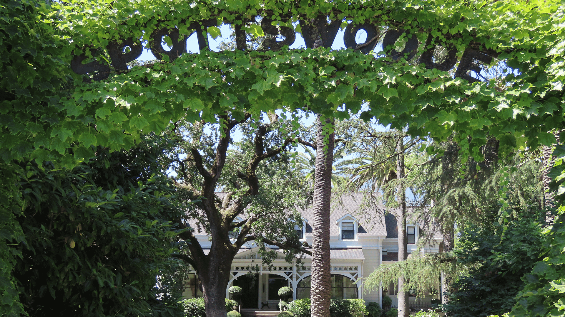 Spottswoode Winery, St. Helena, Napa Valley Wineries