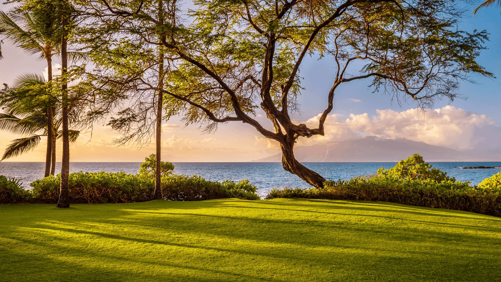 Maui Andaz