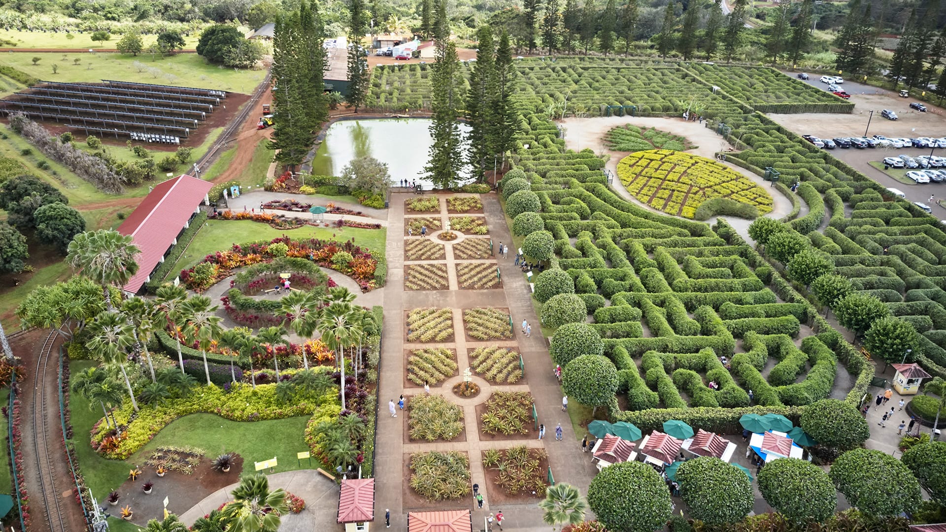 Dole Plantation, Oahu