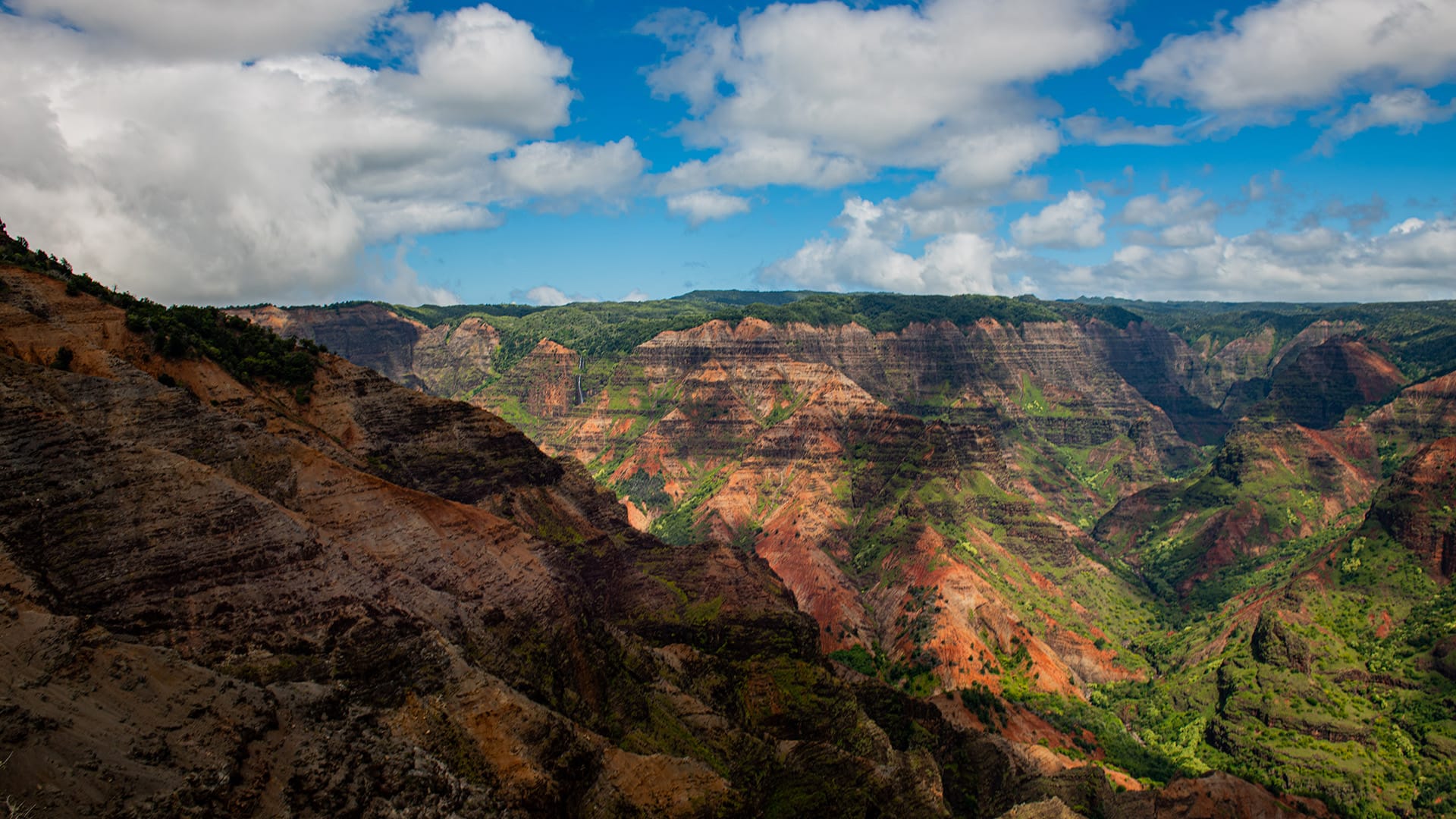Waimea Canyon State Park Kauai