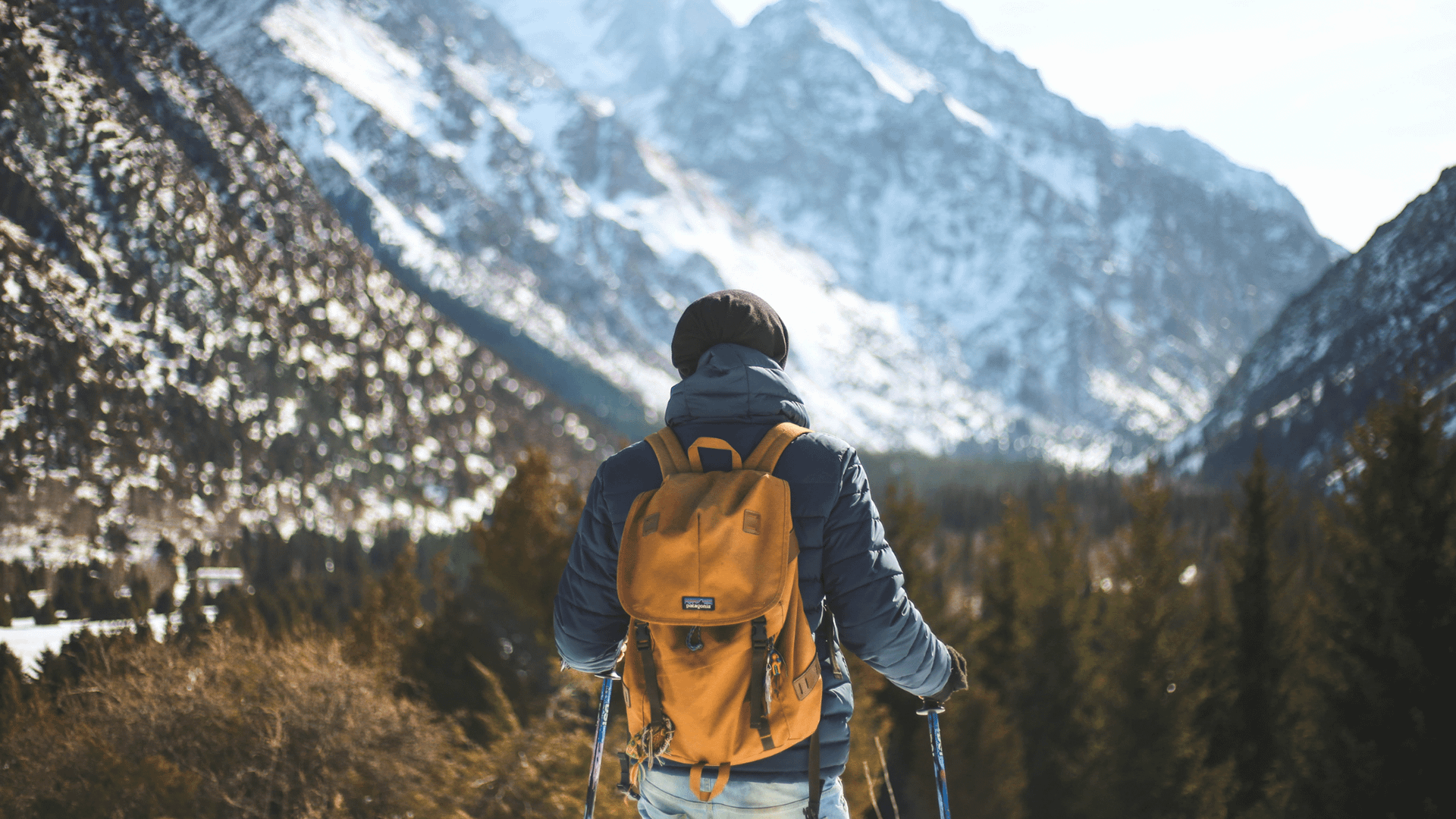 The 8 Best Sustainably-Made Hiking and Camping Backpacks Photo, Local Getaways