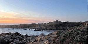 best-scuba-diving-northern-california-salt-point-state-park-800x400-feature-image-ronan-furuta