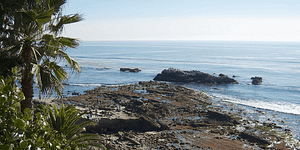 best-scuba-diving-southern-california-laguna-beach-800x400-featured-image