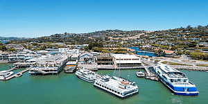 Tiburon waterfront drone_feature image_800x400_Tiburon chamber
