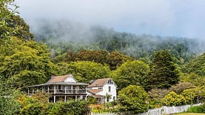 The Tallest Trees, Nude Beaches, Swimming Holes: Hidden Northern