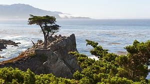 Monterey Peninsula-17-mile-Lone-Cypress-Visit-California-800
